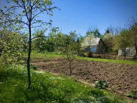 A garden plot with. Foto stock