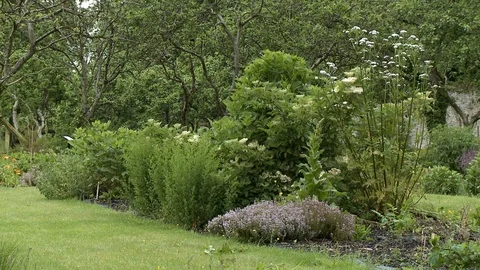 A Garden Plot In Yard Vídeos de archivo 115852898