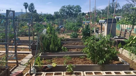 Garden plots shot in 4k Stock Footage 63106896