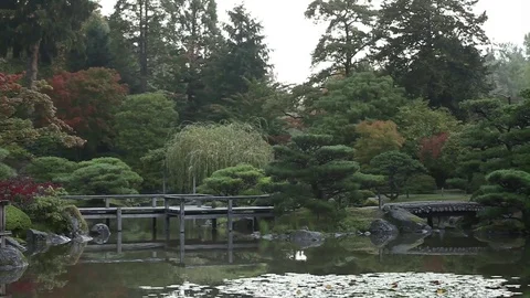 Garden pond with bridge Stock Footage 77258526