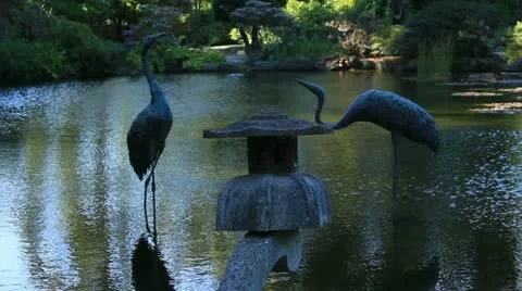 Garden Pond Video stock 12364761