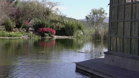 Garden with a pond Stock Footage 191288457