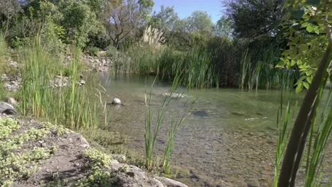 Garden with a pond Stock Footage 191288579