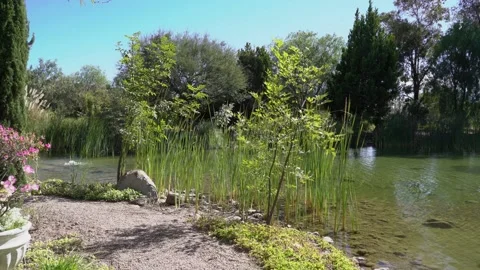 Garden with a pond Stock Footage 191288596