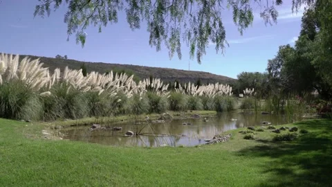 Garden with a pond Vídeo Stock 191289564