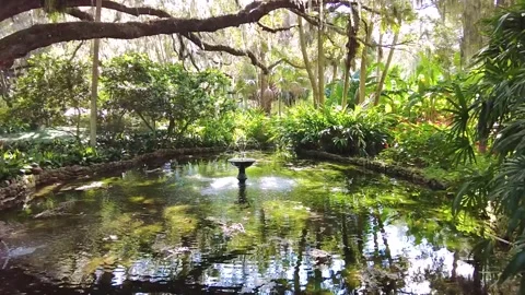 Garden by pond 스톡 동영상 254828015