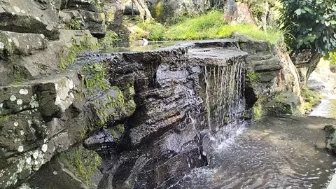 Garden pond 库存影片 333903464