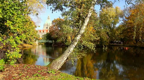 Garden pond HD Stock Footage 32421946