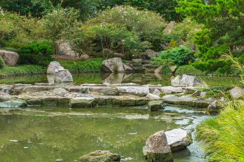 Garden pond Stock Photos