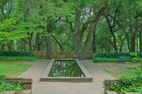 Garden pond Stock-Fotos