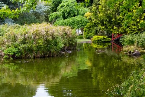 Garden pond Stock Photos