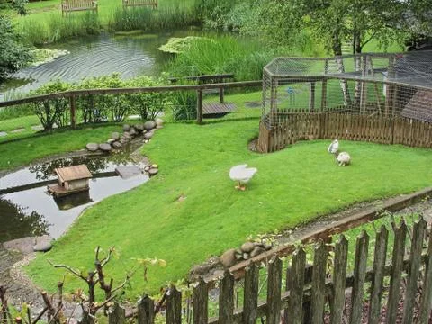 Garden with pond Stock Photos