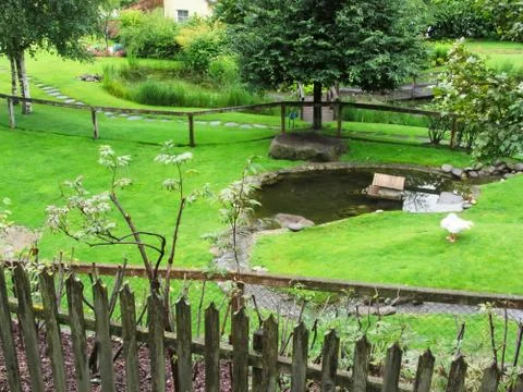 Garden with pond Stock Photos