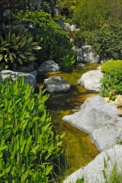 Garden with pond Stock Photos