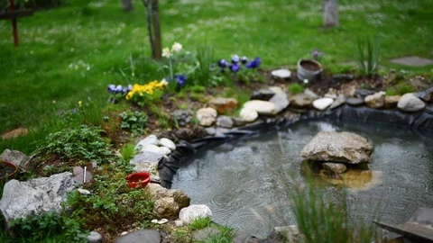 Garden with pond in the rain Stock Footage 88567382