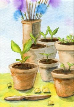 Garden pots Stock Illustration