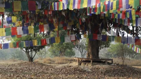 Garden with prayer flags Video stock 61179453