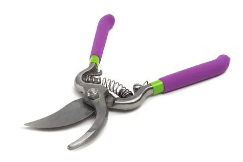 Garden pruner 스톡 사진