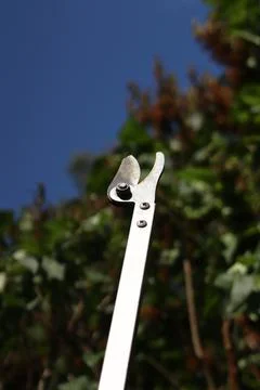 Garden pruner (pruner on a long pole), designed for pruning high branches Photos