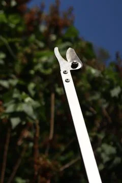 Garden pruner (pruner on a long pole), designed for pruning high branches Photos