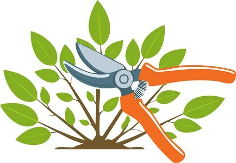 Garden pruning scissors trimming fresh green bush for healthy plant growth .. Stock Illustration