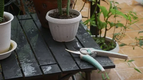 Garden pruning shears scissors on table Vídeos de archivo 334850931