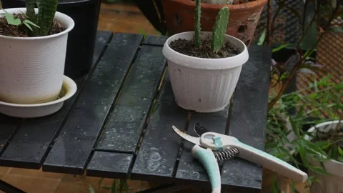 Garden pruning shears scissors on table 库存影片 334850932