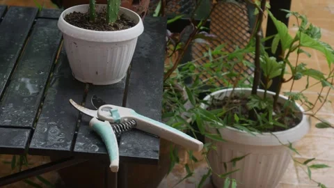 Garden pruning shears scissors on table Vidéo 337873043
