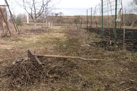 Garden pruning work. The rake lies on a pile of foliage and debris after pr.. Stock Photos