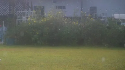 Garden in the rain capturing the raindrops coming down Stock Footage 316543385