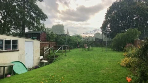 Garden Rain Stock Footage 157221934