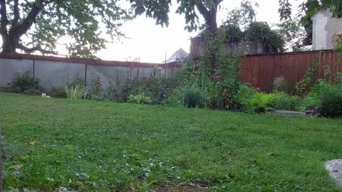 Garden in the rain Stock Footage 212913783