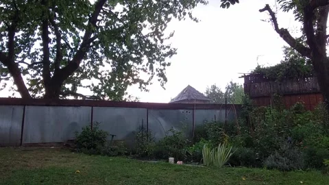 Garden in the rain Stock Footage 212913974