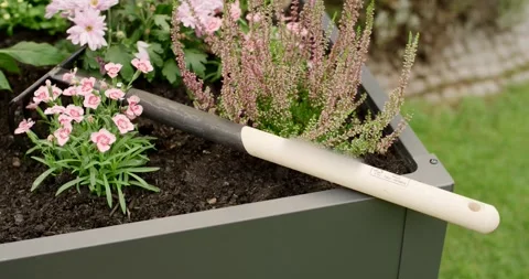 Garden Rake Lying on a Raised Bed With Pink Flowers Stock Footage 340294239