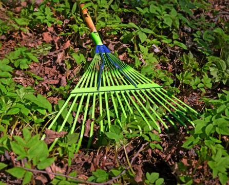 Garden rake Stock Photos