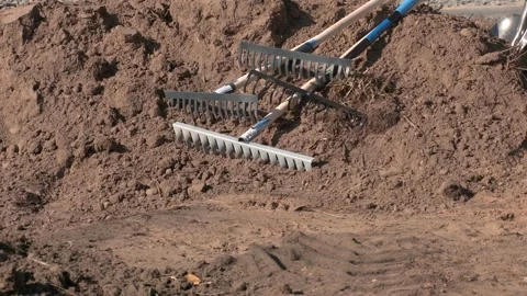 Garden rake rakes the ground, work. Video stock 321828621