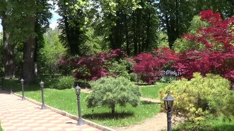 Garden with red maple trees 動画素材 334865146