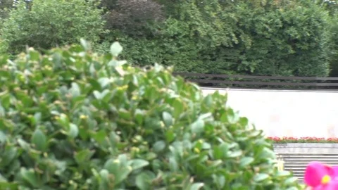Garden of Remembrance (Dublin) 스톡 동영상 80907272