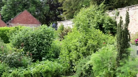 Garden right to left plants, pythouse kitchen gardens,wiltshire 스톡 동영상 137396629