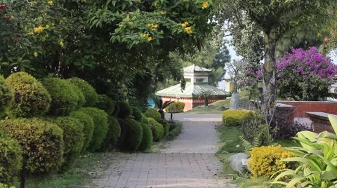 Garden Road Video stock 58983661