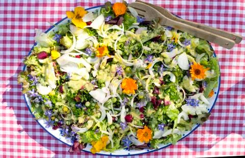 Garden salad Stock Photos
