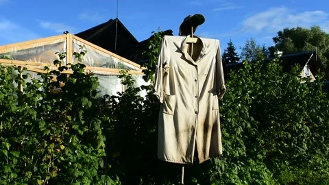 Garden scarecrow in the wind Stock Footage 138150761