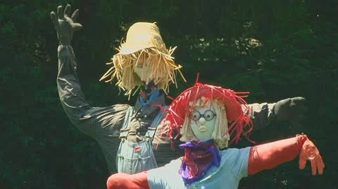 Garden scarecrows Video stock 10790780