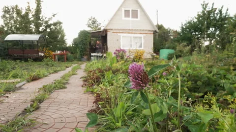 Garden scene captured. Serene summer garden pathway with floral details Stock Footage 345175928