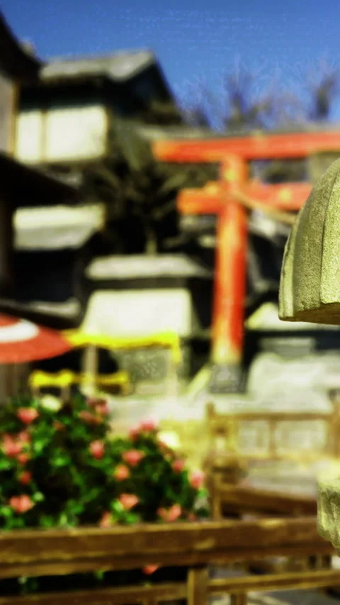 Garden scene with lantern and red gates in a Japanese setting Stock Footage 332221070