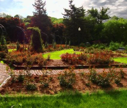 Garden scene Stock Photos