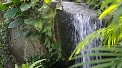 Garden scene with waterfall Stock Footage 61280773
