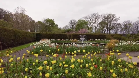 Garden in Scotland Stock Footage 246630336