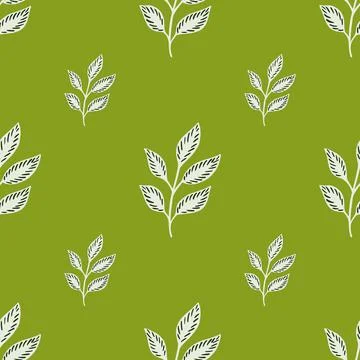Garden seamless pattern with white doodle leaf ornament. Light green backgrou Stock Illustration