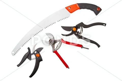 Garden secateurs and hacksaw Stock Photos